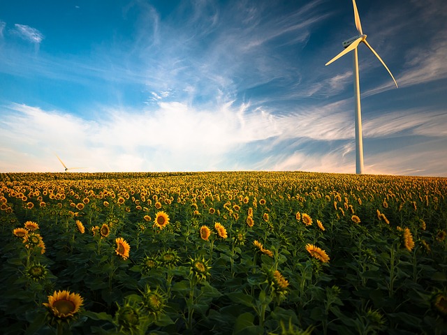wind energy, from pixabay